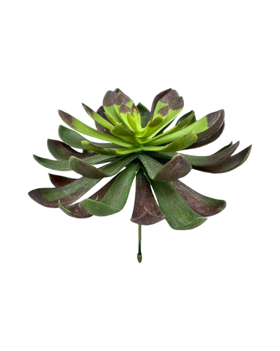 Artificial Aeonium Pick