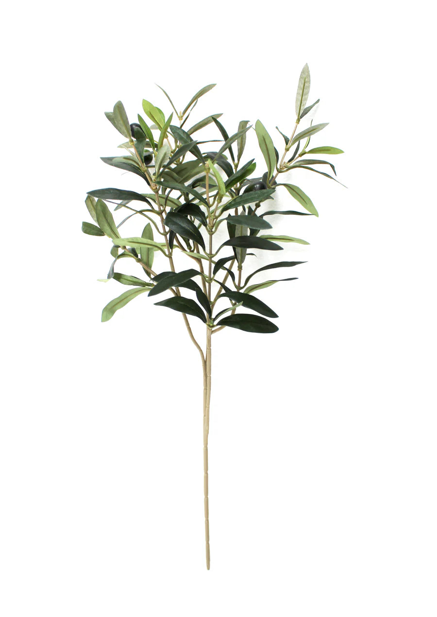 Artificial Olive Stem