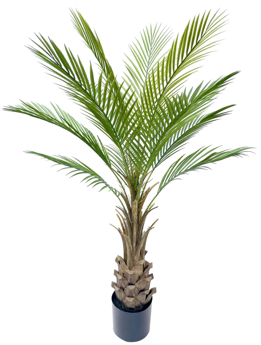 Artificial Kentia Palm