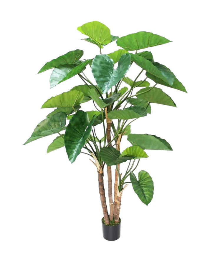 Artificial Alocasia Tree 165cm