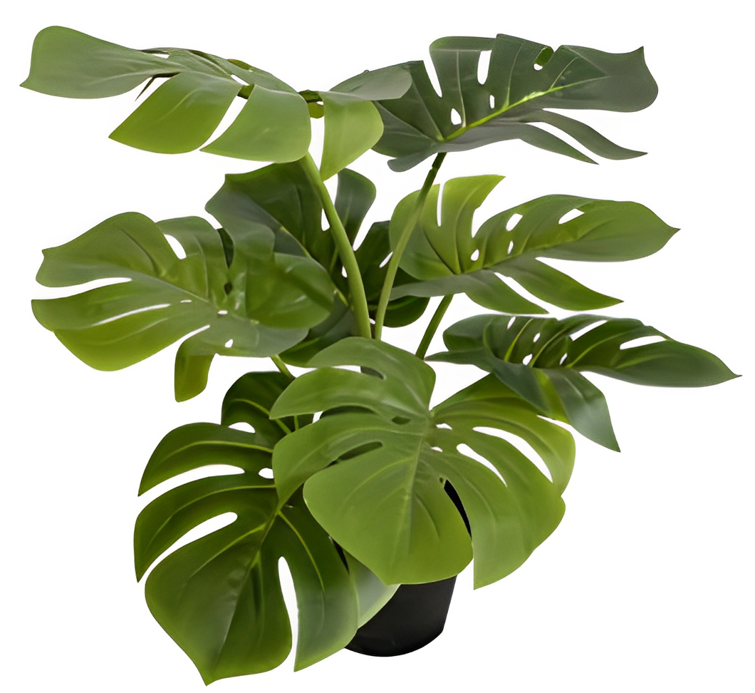 Artificial Delicious Monster Plant - 60cm