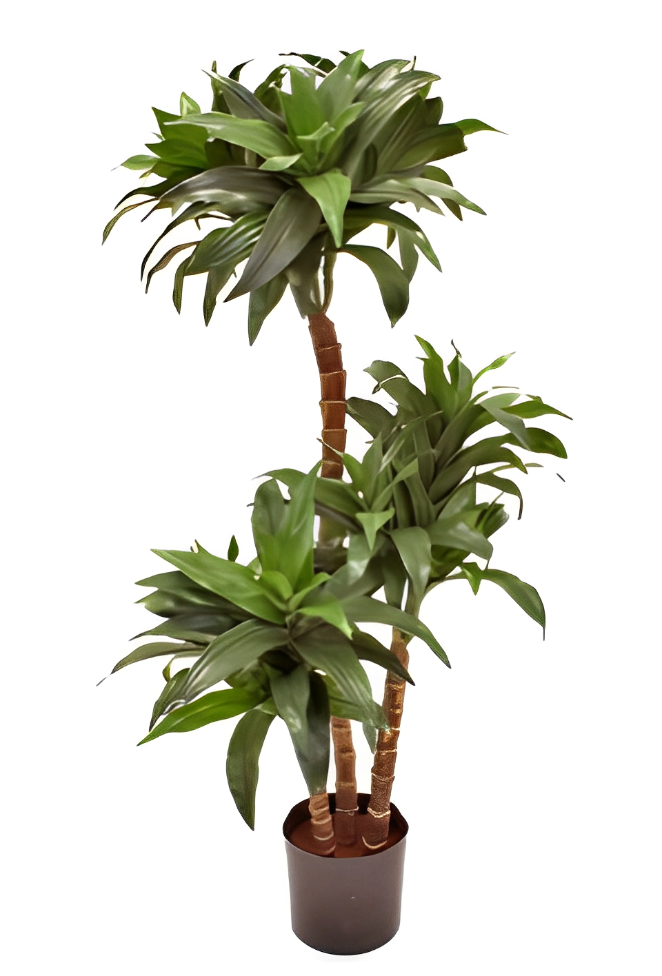 Artificial Dracaena Tree - 100cm