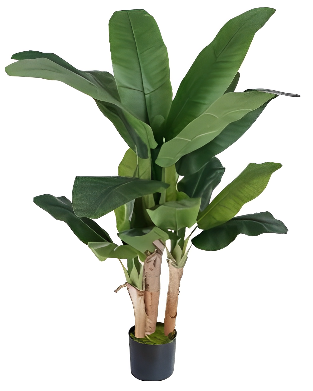 Artificial Triple Banana Leaf Tree - 150cm