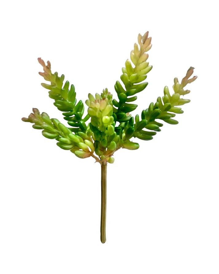 Artificial Pine Nut Succulent